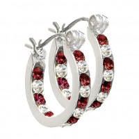 E127BS Full Hoop Birthstone Earrings With Swarovski Crystal102992-January