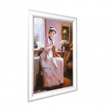 FixtureDisplays® Frame, Wall or Poll Mount Poster/Picture Snap Silver 11476-A3 Viewable Area 10.6x15.7