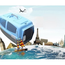 FixtureDisplays® Portable Dog Carrier, Pet Tote, Kennel , Travel Dog Crate 12215-2