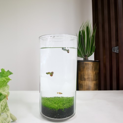 FixtureDisplays Eco-Container Acrylic Cylinder Fish Tank with Small Removable Lip 15703