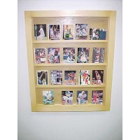 FixtureDisplays® 20 Baseball card displays case will hold 20 ungraded baseball cards Golden 100102